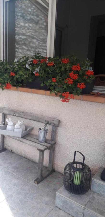 Bed and Breakfast Cote Jardin à Périgueux Extérieur photo